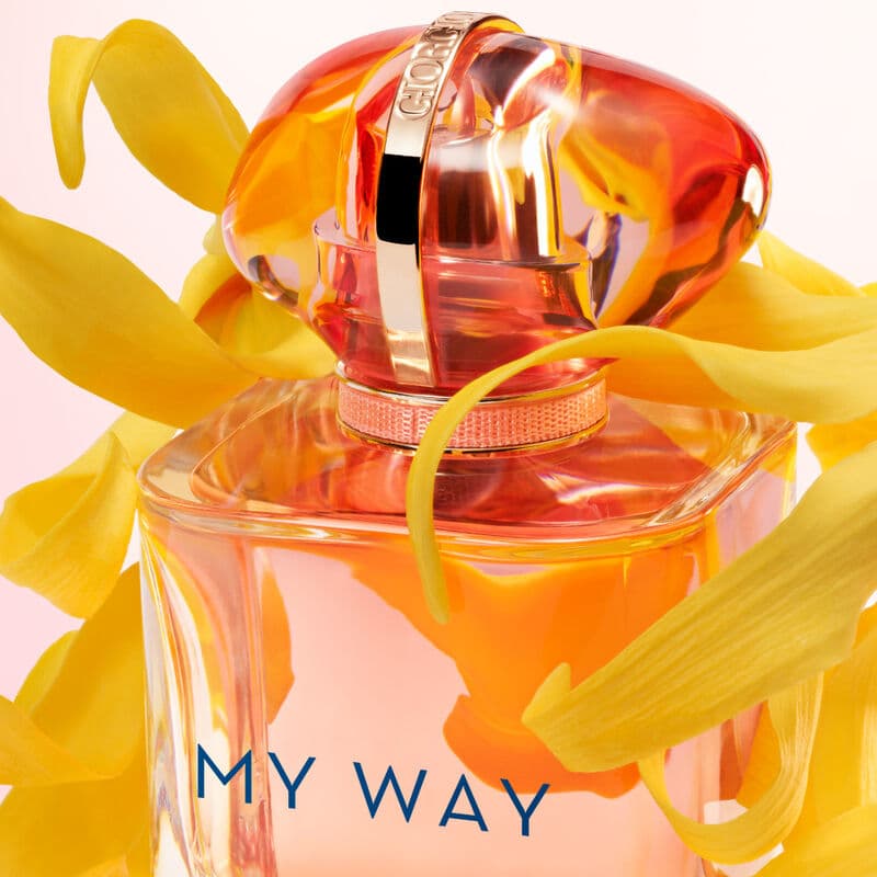 My Way Ylang — vue 4