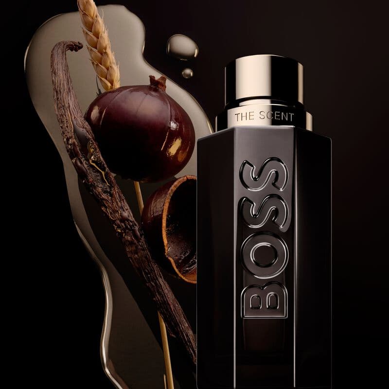 The Scent Magnetic — vue 3