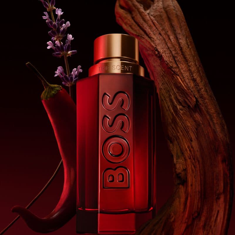 The Scent Elixir — vue 3