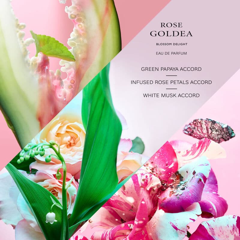 Rose Goldea Blossom Delight — vue 3