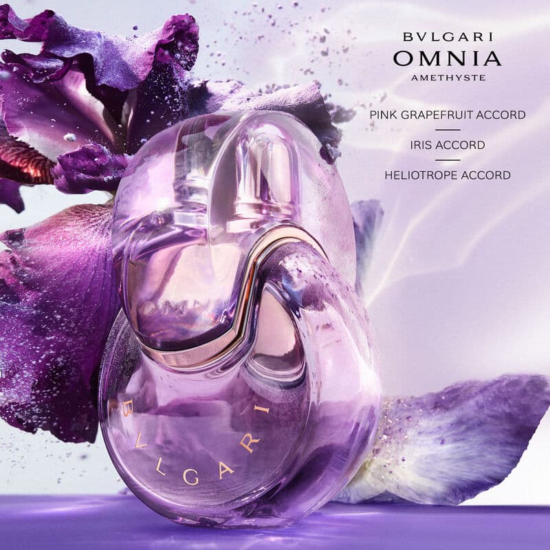 Omnia Amethyste — vue 3
