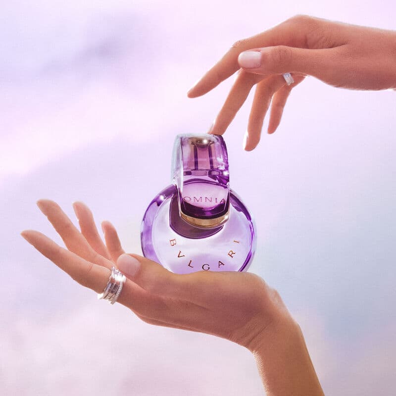Omnia Amethyste — vue 4