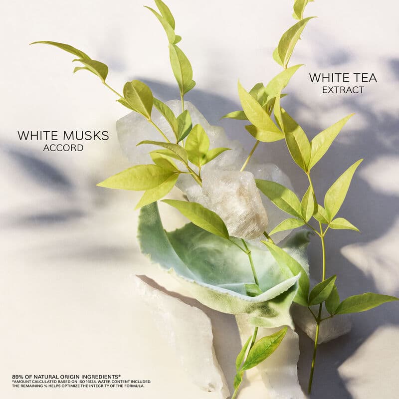 Eau Parfumée Thé Blanc — vue 4