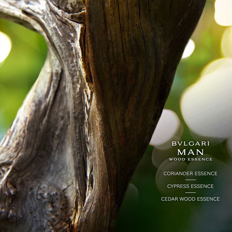 Bvlgari Man Wood Essence — Eau de Parfum — vue 3