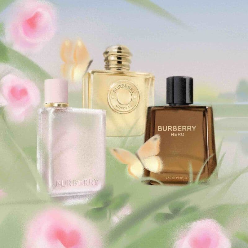 Burberry Hero — vue 3