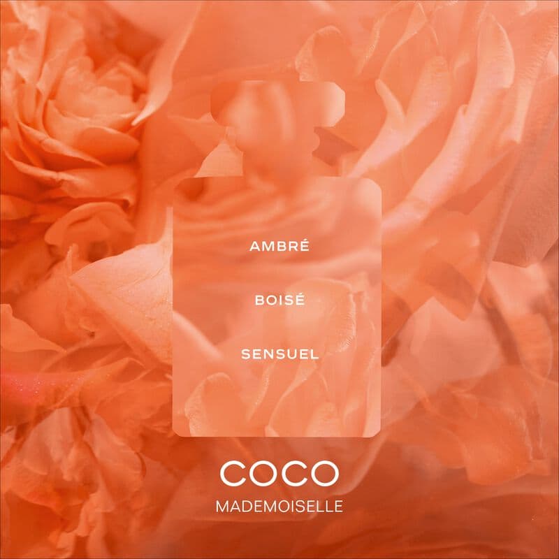 COCO MADEMOISELLE — vue 3