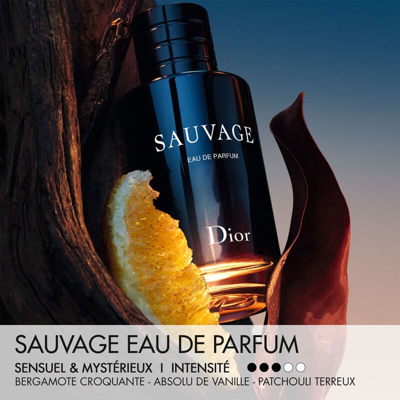 Sauvage — vue 3