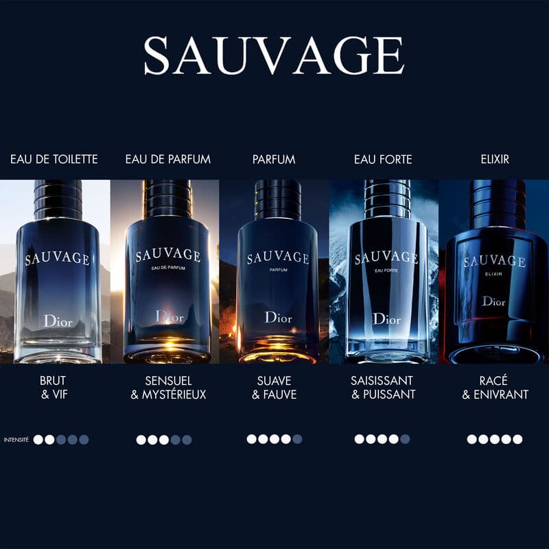 Sauvage Elixir — vue 3