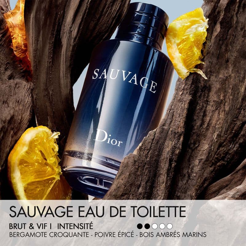 Sauvage — vue 3