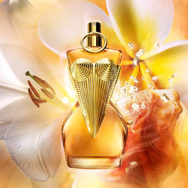 Gaultier Divine — vue 3