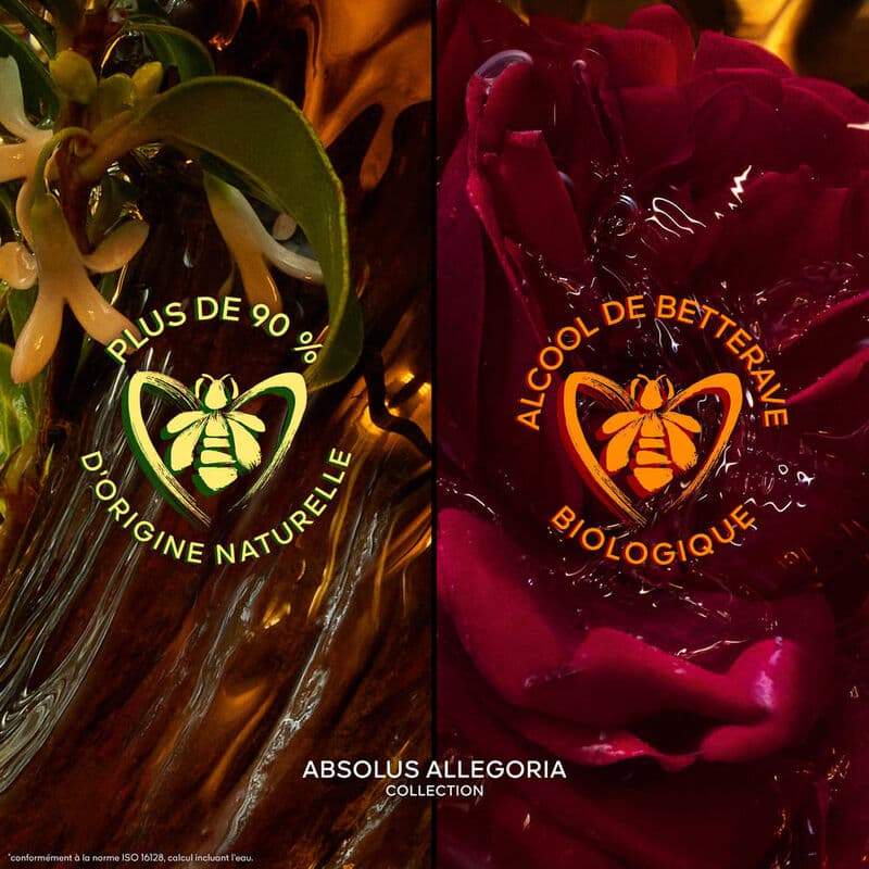 ABSOLUS ALLEGORIA — vue 4