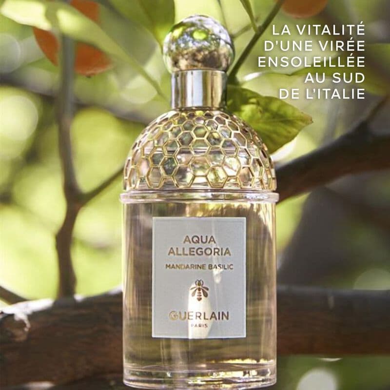 Aqua Allegoria Mandarine Basilic — vue 4