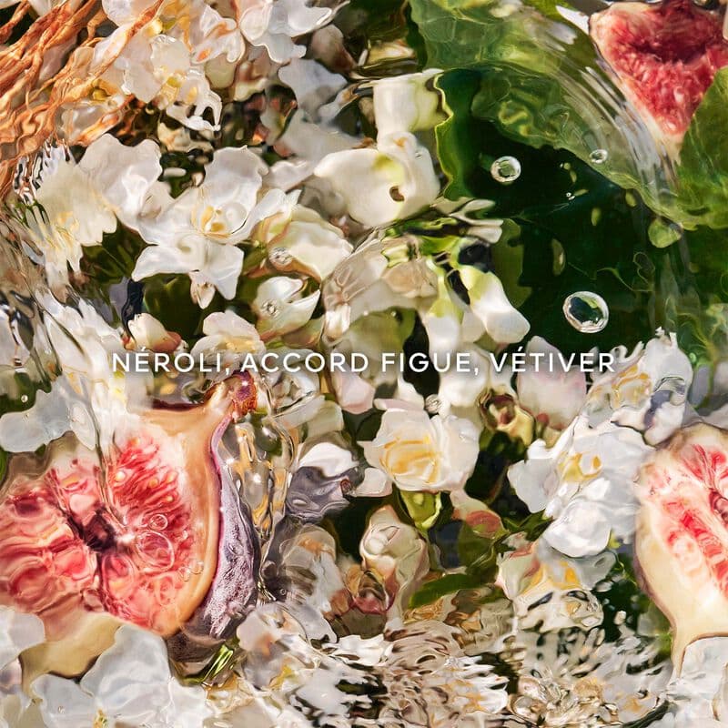 Aqua Allegoria Nerolia Vetiver — vue 4