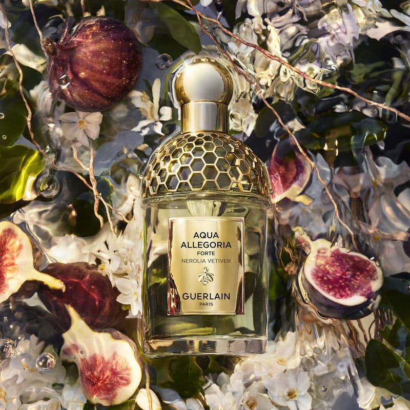 Aqua Allegoria Forte — vue 2