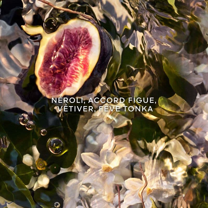 Aqua Allegoria Forte — vue 3
