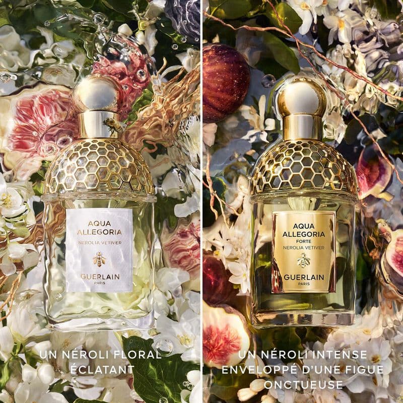 Aqua Allegoria Forte — vue 4