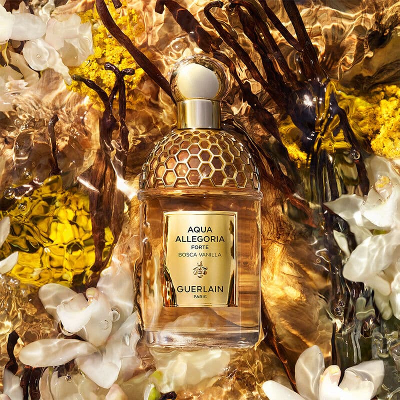 Aqua Allegoria Forte — vue 2