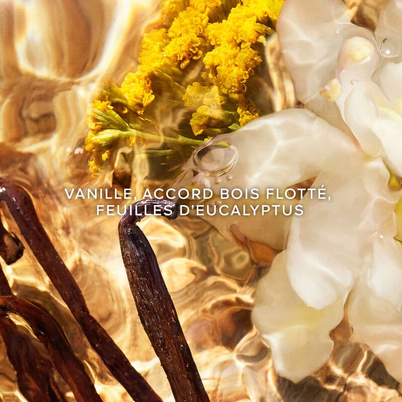 Aqua Allegoria Forte — vue 3