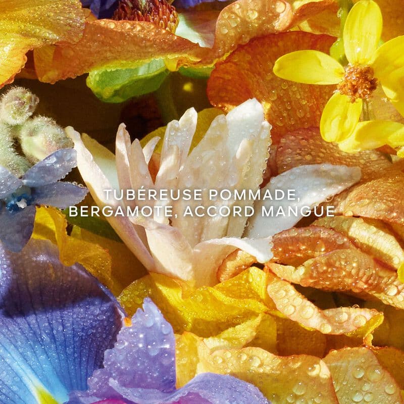 Aqua Allegoria Florabloom — vue 3