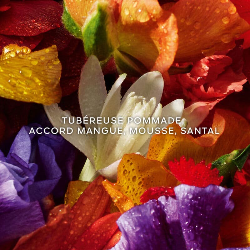 Aqua Allegoria Forte Florabloom — vue 3