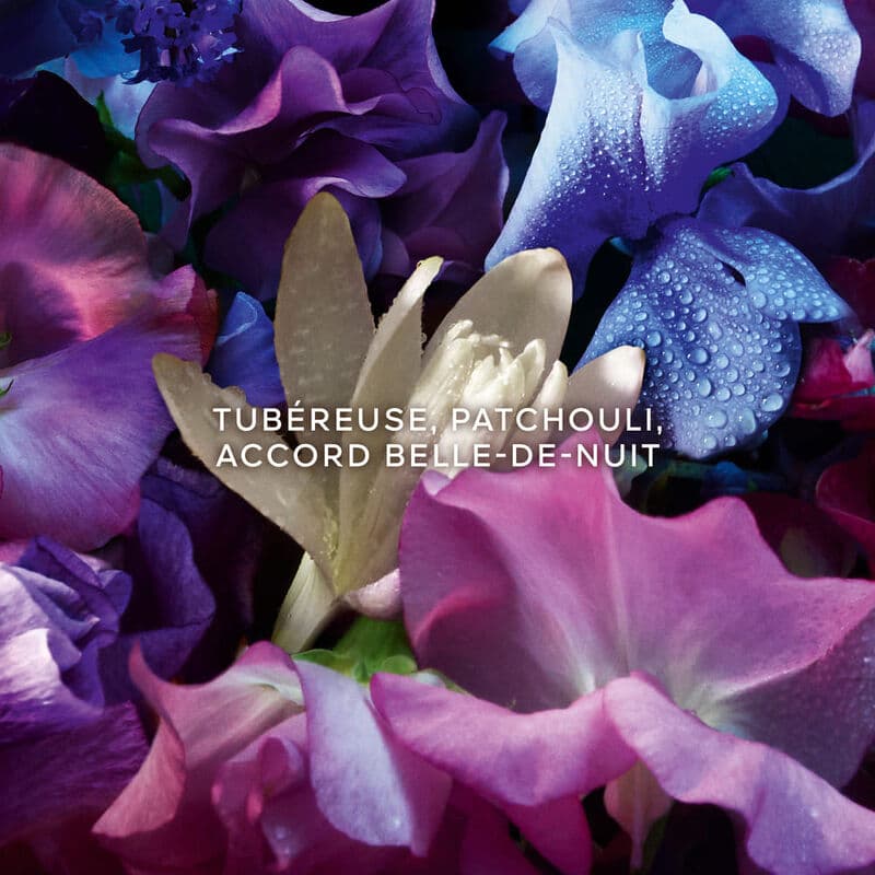 Absolus Allegoria Florabloom — vue 3