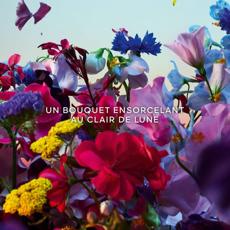Absolus Allegoria Florabloom — vue 4