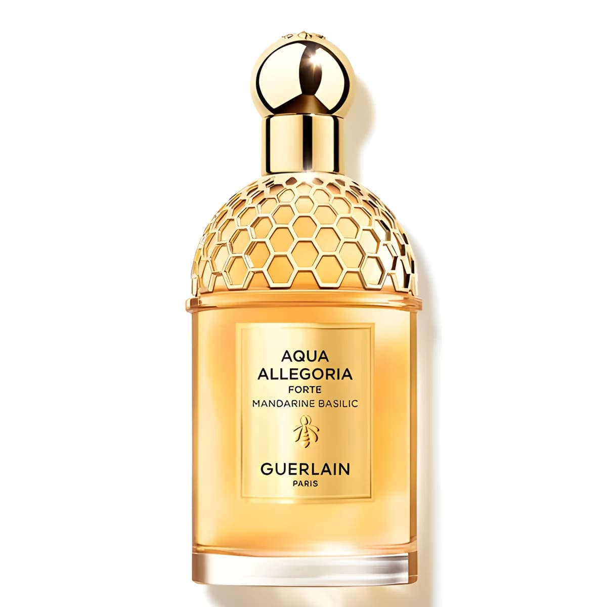 Aqua Allegoria Forte
