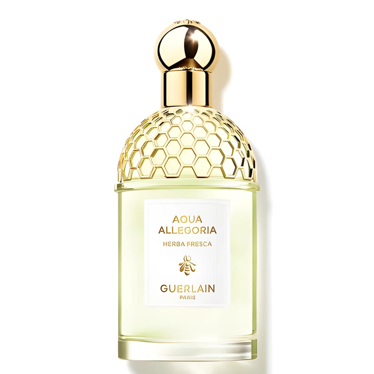 Aqua Allegoria Herba Fresca