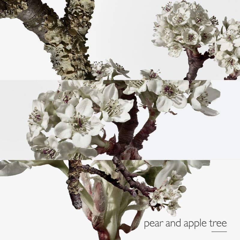 Un Jardin sur le Toit — vue 3