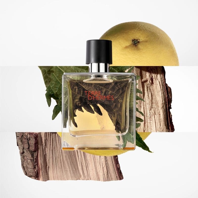 Terre d'Hermès — vue 4