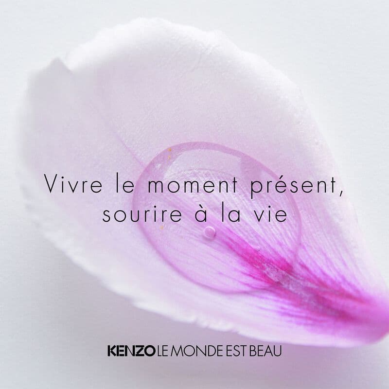 Le Monde est Beau — vue 4