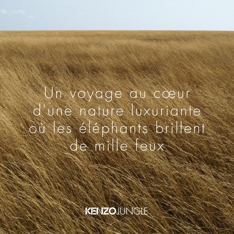 KENZO JUNGLE — vue 4