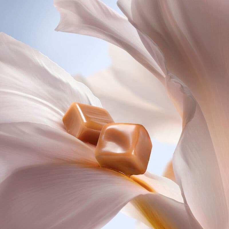 La Vie Est Belle — Parfum — vue 3