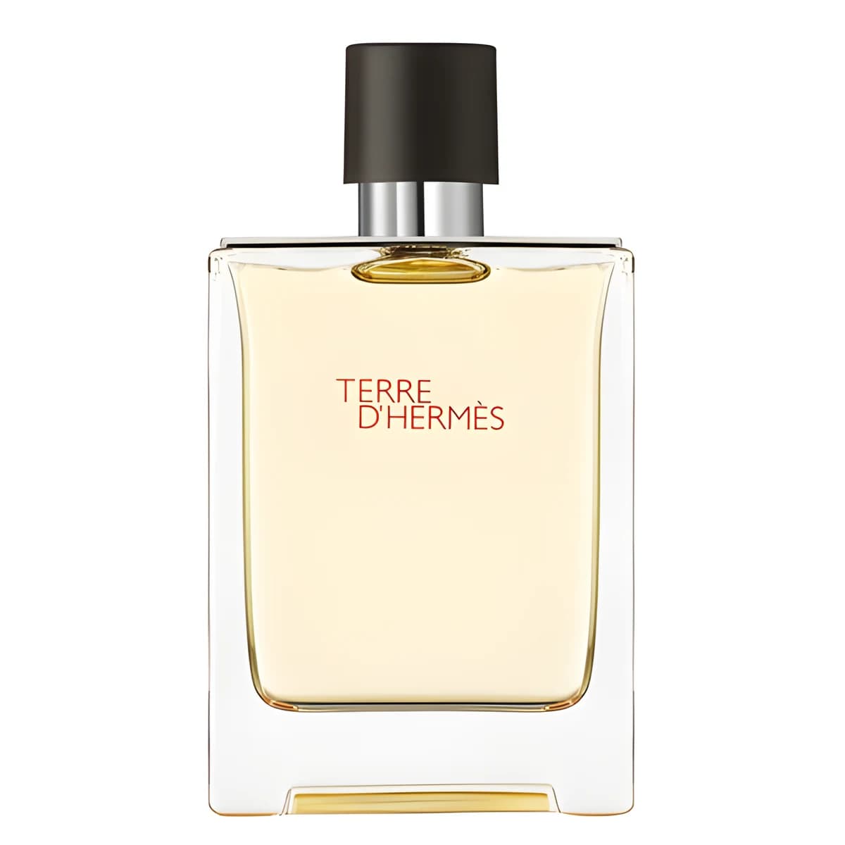 Terre d'Hermès — Eau de Toilette