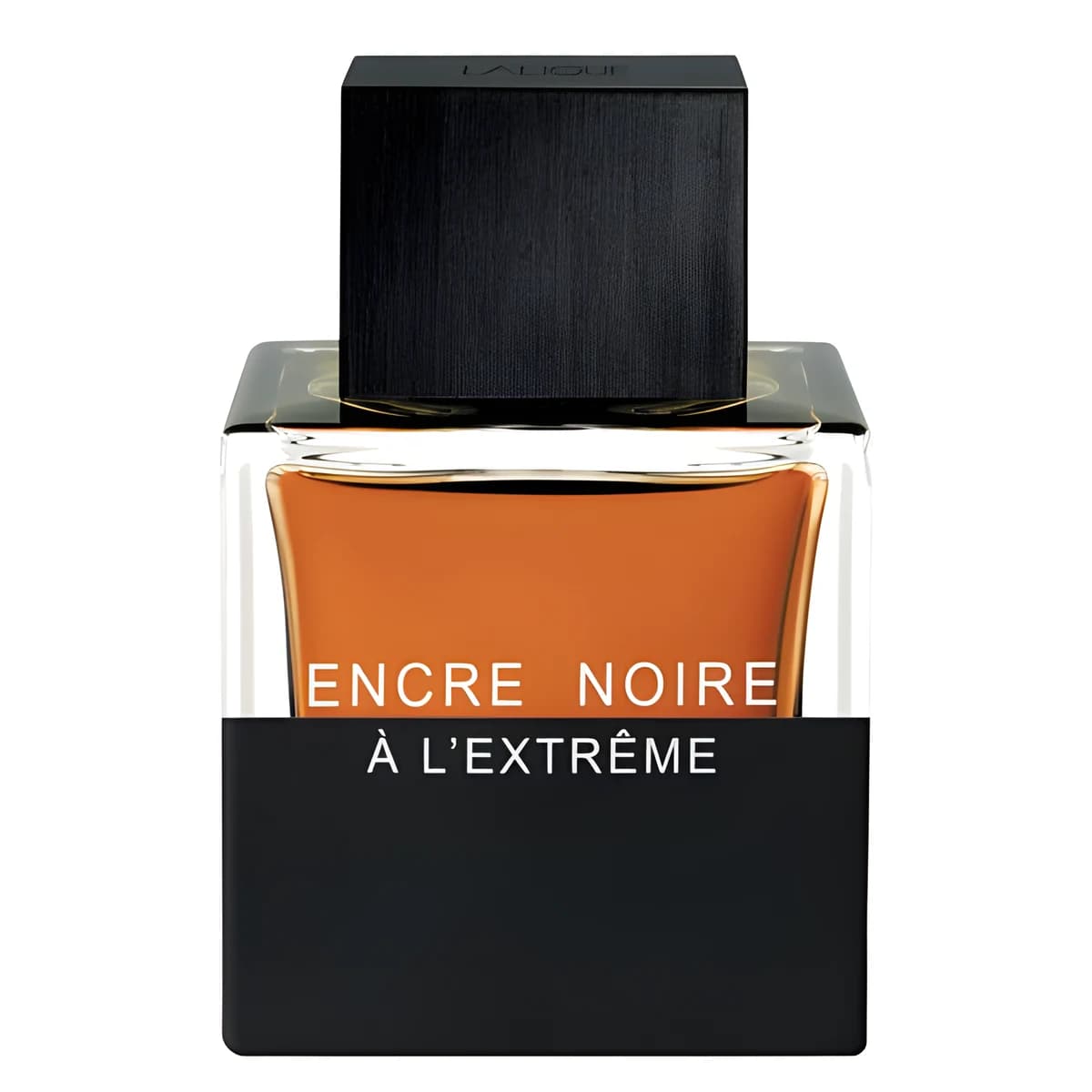 Encre Noire Extrème