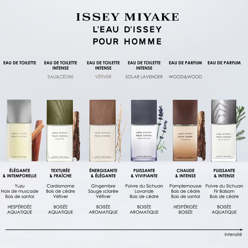 L'Eau d'Issey pour Homme — Eau de Toilette — vue 4