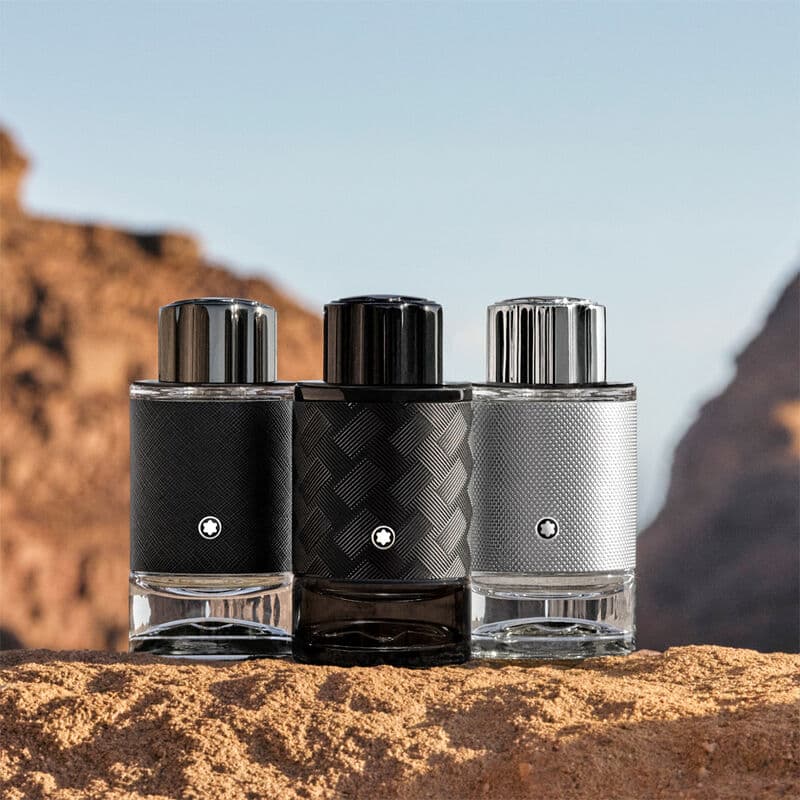 Explorer Platinum — vue 4