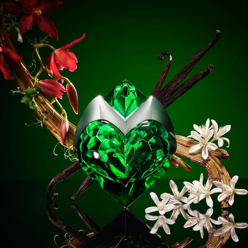 Aura Mugler — vue 3