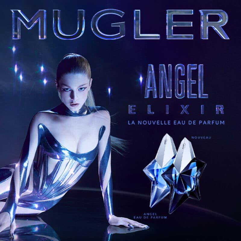 Angel — vue 3