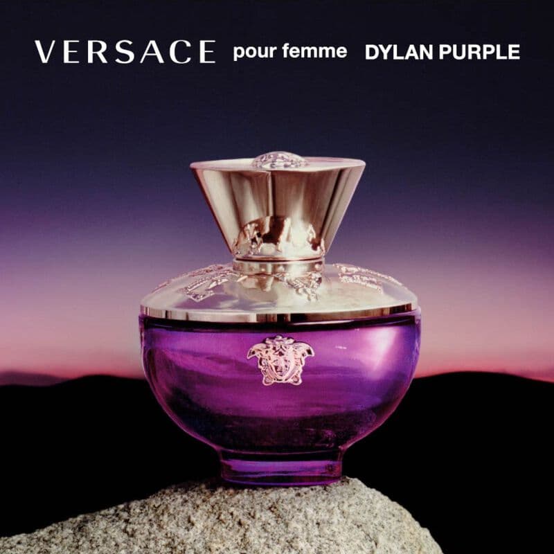 Dylan Purple — vue 4