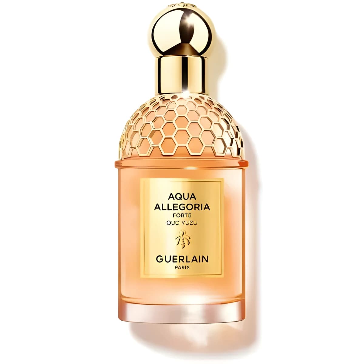 AQUA ALLEGORIA FORTE Oud Yuzu - Eau de Parfum