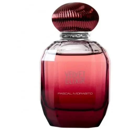 VELVET ELIXIR Eau de Parfum Vaporisateur