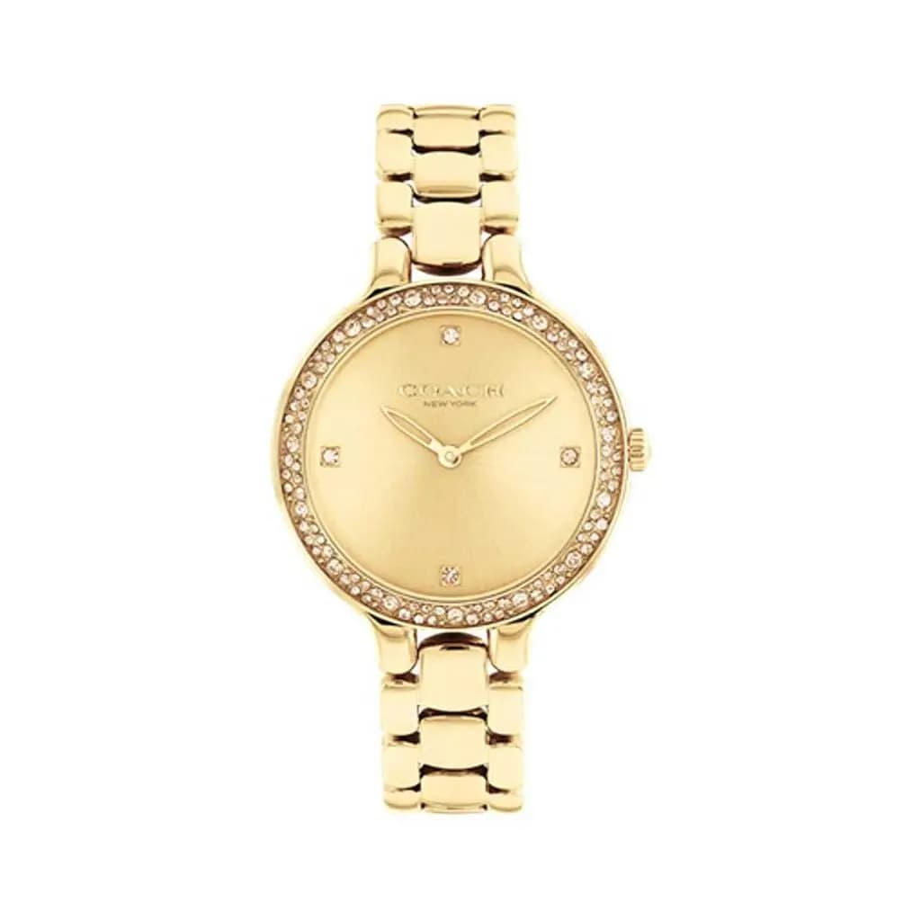 Montre Coach Chelsea Vert