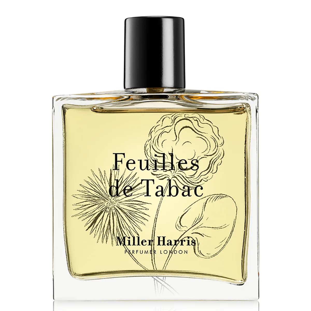 Feuilles de Tabac – Eau de Parfum