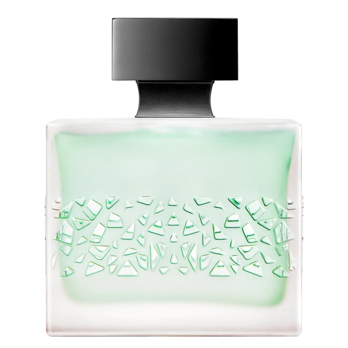 GnTonic – Eau de Parfum