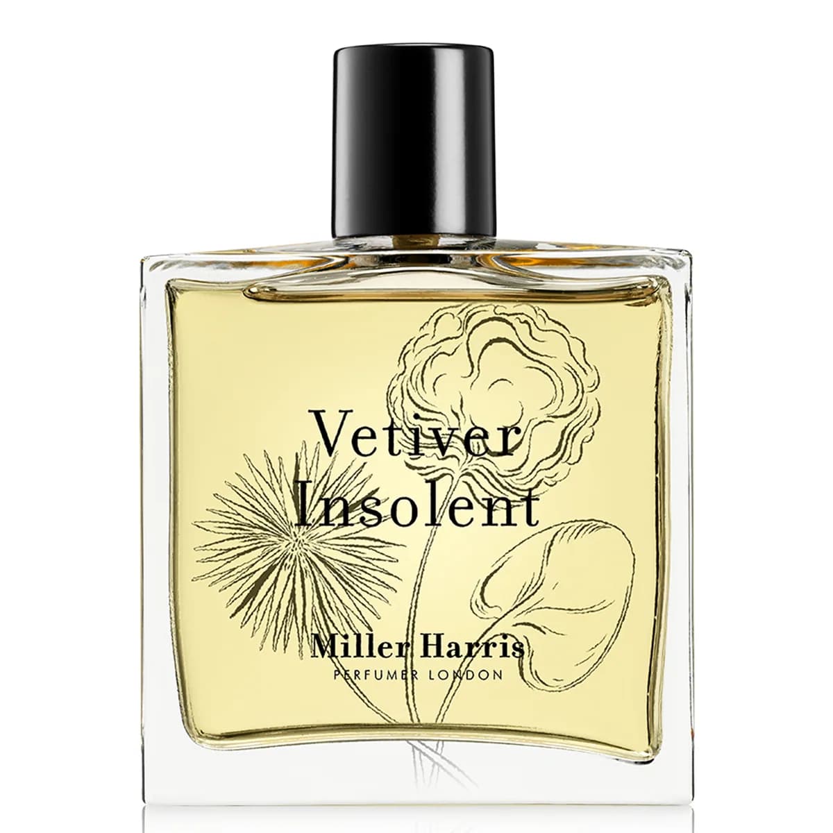 Vetiver Insolent – Eau de Parfum