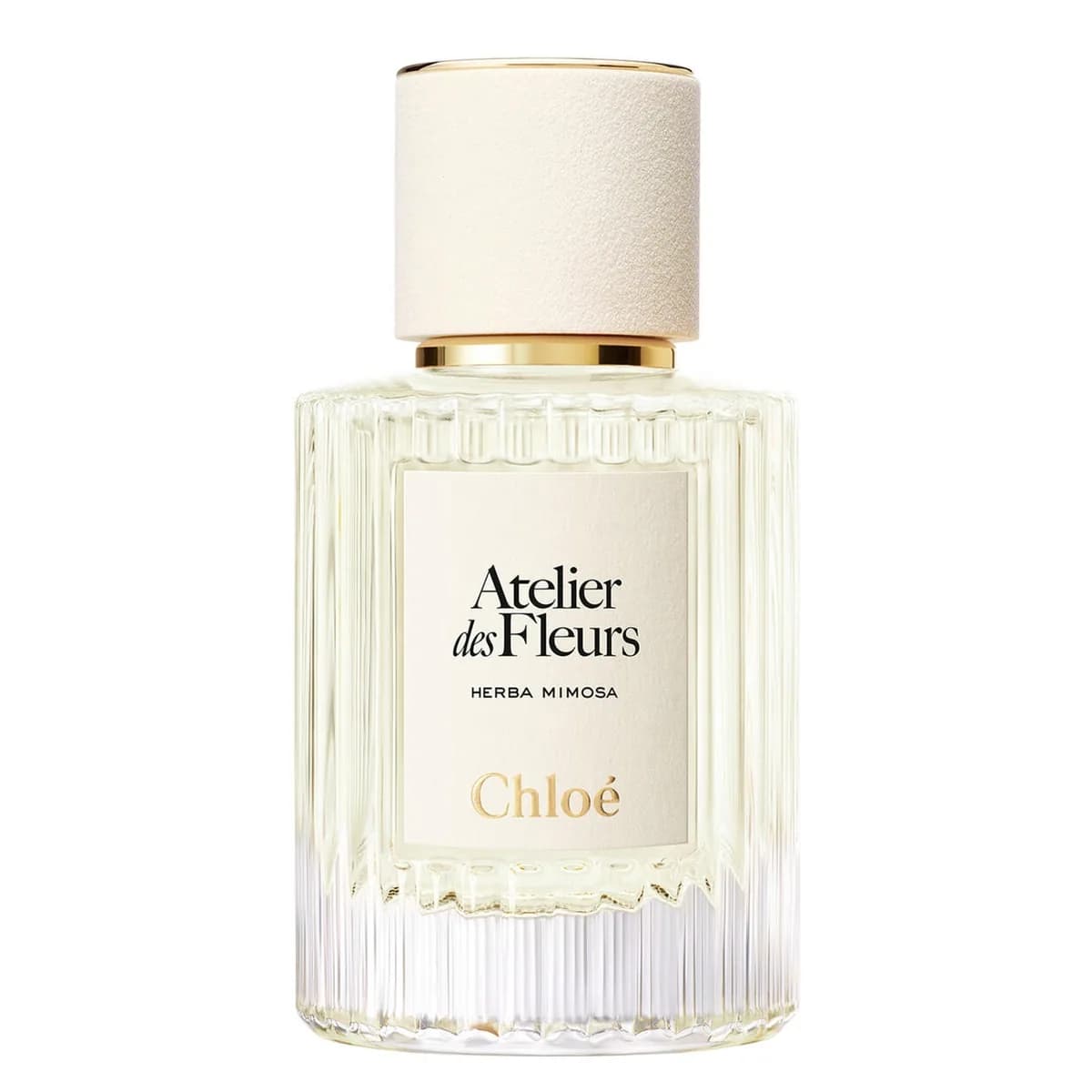 Atelier des Fleurs - Herba Mimosa – Eau de Parfum