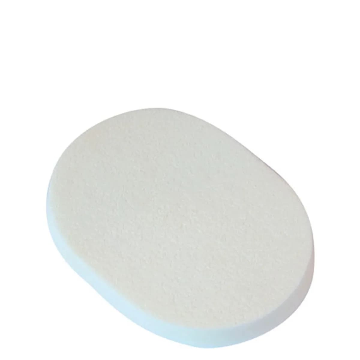 Éponge Humidifiée