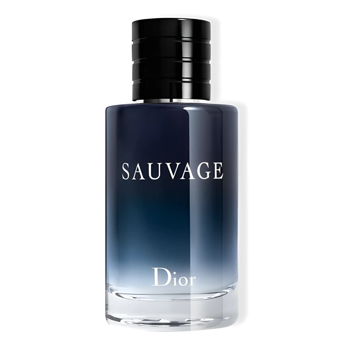 Sauvage — Eau de Toilette