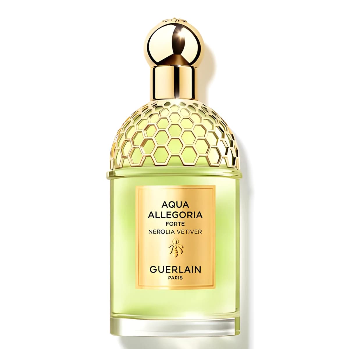 Aqua Allegoria Forte